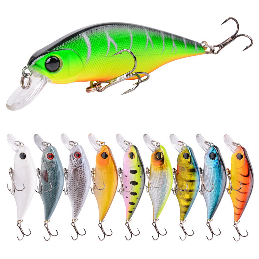 Fishing Lure Making Kit - 1 Cái Chất Lượng Cao Minnow